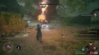 Defeat Inferius enemies that infest some hilltop ruins,