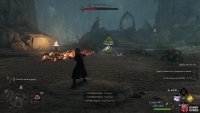 Defeat lesser spiders until the matriarchs arrive.