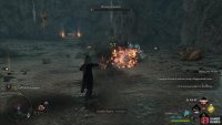 defeat a nest of spiders,