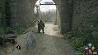 Use Petrificus Totalus on the goblin “guarding” the gate.