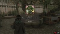 The description for the Dirigible Plums page.