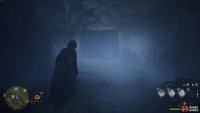 Enter the cave from this entrance near the Spider Den.