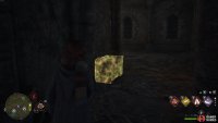 You’ll find the chest at the end of the cave.