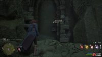 You’ll need Level III in the Alohomora spell to unlock the door.