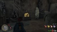 You’ll find the Collection Chest in the room behind the animal puzzle door.
