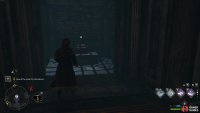 You’ll find the Collection Chest here above a ledge while exploring the cave.