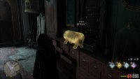 You’ll find the Collection Chest inside the room.