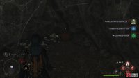 to find the Collection Chest hiding behind some webs.