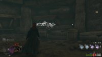 Find the skeletal remains and use Accio to drag them out. 