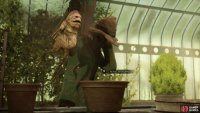 Replant the Mandrake into it&rsquo;s bigger and better pot by hitting down on the right thumbstick