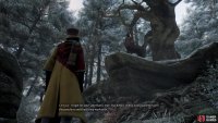 Centaurs aren’t very fond of Wizardkind, thanks to Poachers.