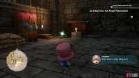 Head through the Chopper hole in 3BF to enter this secret Yoisa shop and grab the cube.