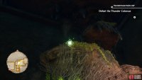 On top of the vines northeast of Thunderhead Ruins boss room.