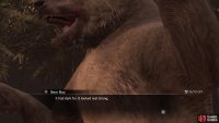 Yep, you’re fighting a bear