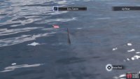 When a fish turns red, they will be biting your line