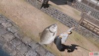 Congrats on catching your fish!