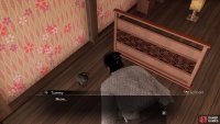 Cats can be found inside the house