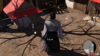 The dogs can sometimes find items for you