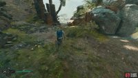 Take the path on the right when you reach the top of the ledge.