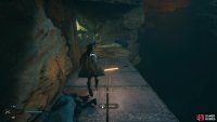 to find a dead Gorger you can scan.