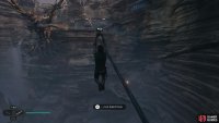 Use a zip line to reach an elevated area,
