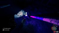 The Rebreather will be at the edge of the rocks near the water.