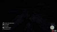 You can use the Spear to fight enemies from a distance.