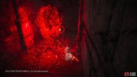 Climb up the blocks opposite the statue and take the left path at the top where a hedgehog will be. Behind it will be the shell which is being obscured by the red orb.