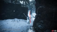 From the second Battle Flag head south into the next village area.