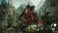 You’ll see status effects on enemies just below their health and Spirit bar, as shown here circled in red.