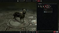 Once unlocked, pets can be equipped via Wardrobes.