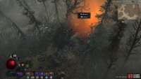 where you’ll find the Maulwood dungeon.