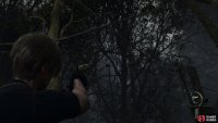to find the treasure hanging from the tree.