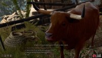 Your gut tells you that this Ox is…strange