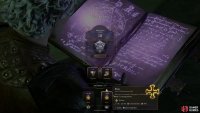 Be prepared to use buffs from your support classes like Paladin, Cleric, Druid and Bard to make the literacy session go in your favor.