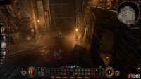 Look for Halsin on the eastern side of the dungeon, caged as a bear.