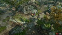 Seek out a well in the Blighted Village,