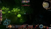 then grab the Noblestalk and return back safely.