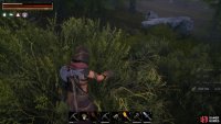 You can handpick plenty of Plant Fiber from bushes