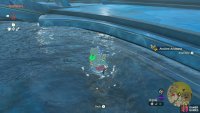 Catch an Ancient Arowana in Mipha’s Court.