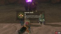 Koltin will gift you the Bokoblin Mask.