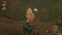 Head inside the cave to find a Bubbul Frog.