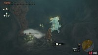 There are some more breakable rocks in the room with a Bubbul Frog behind them.