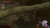 The chest is on a pillar on the north side of the Lava Falls.