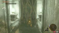 Find the next temple room down the lake