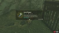 don&rsquo;t forget to loot the chest with a useful Lynel Reaper.