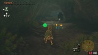 Chuchu can be found under Hateno Village.