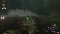 Swimming up to the waterfall required