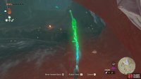 then pick it up and take it to the shrine pedestal.