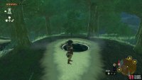 to find the tear at the top right of the geoglyph.